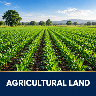 Agriculture Land
