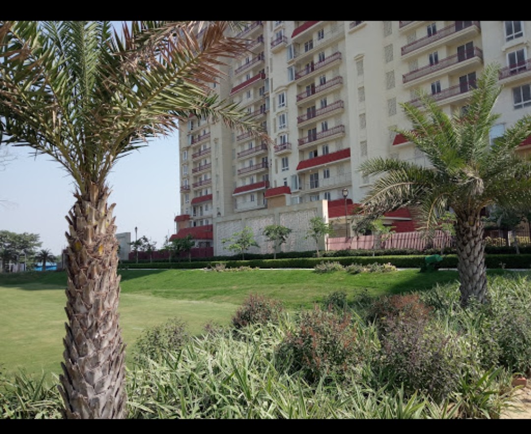 Krish Ibiza Town